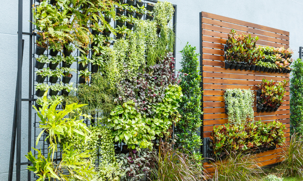 Jardines vertical, en madera y estructura de metal con plantas verdes y exuberantes 